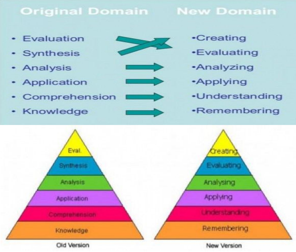 Taxonomia Bloom Images Taxonomia Bloom Images