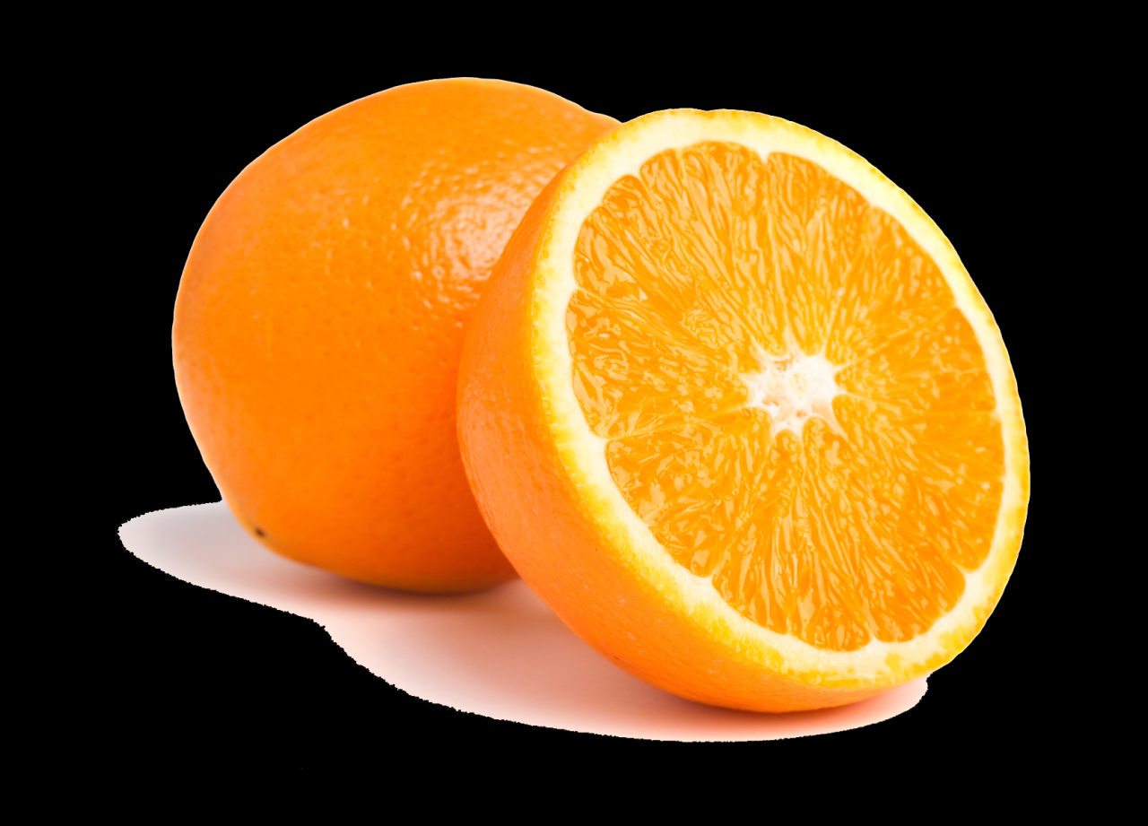 computer security course online Master Your Skills Today