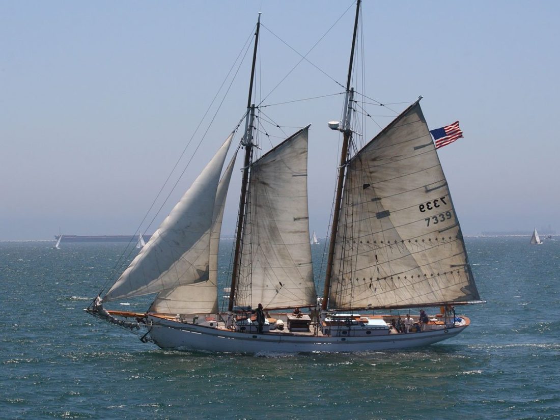 Free picture: sailboat, watercraft, sail, ship, water, ocean, sea Free picture: sailboat, watercraft, sail, ship, water, ocean, sea