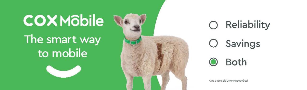 Home Security Hardware For Ultimate Protection