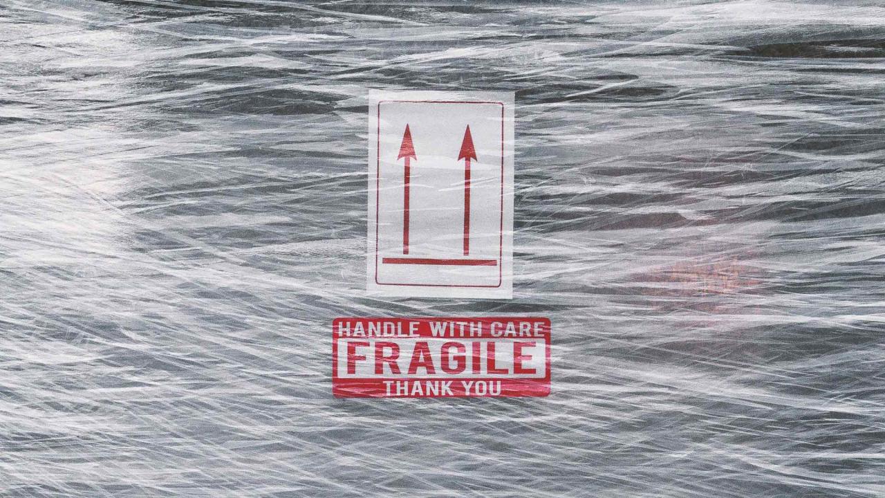 Why You Need Cargo Insurance | Mercury Business Services Why You Need Cargo Insurance | Mercury Business Services